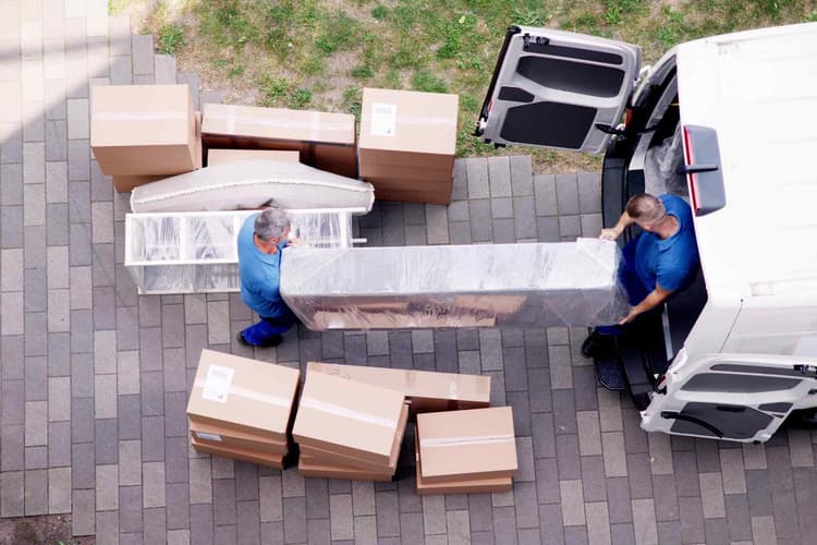 Global Logistics Director