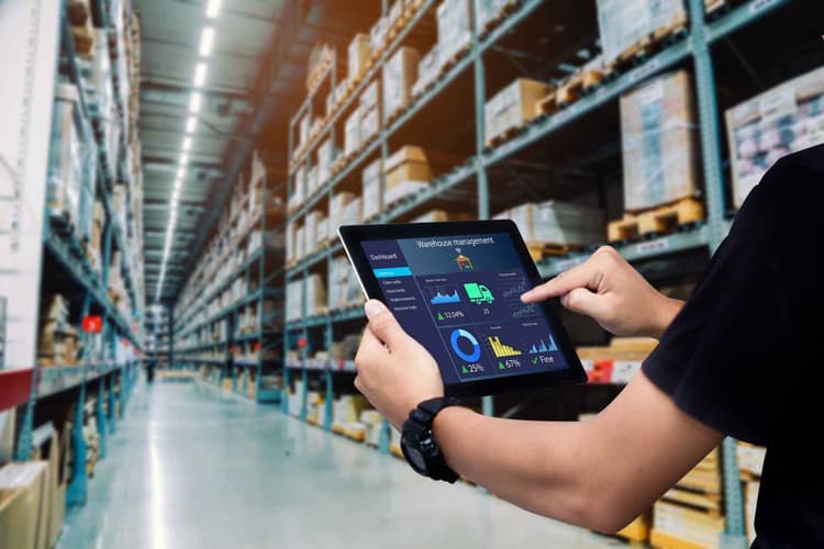 Supply Chain Director